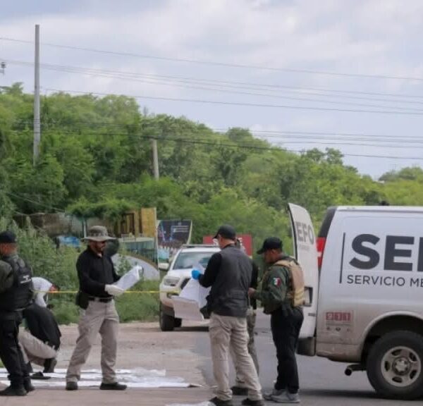 México: operativo militar deja 11 muertos en acciones contra el Cártel de Sinaloa