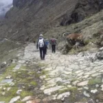 15 voluntarios se extravían tras rescate en la ruta del Takesi