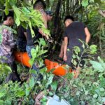 Autopsia confirma que pilotos fallecieron por hemorragia tras accidente aéreo