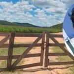 Allanan bienes de hijos de Luis Arce por presuntas ganancias ilícitas