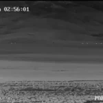 Interceptan en Chile caravana de más de 30 camiones con contrabando desde Bolivia