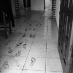 Parricidio en Montero: hijo es acusado de matar a su padre con arma&hellip;