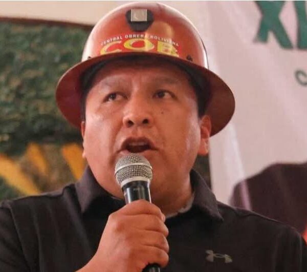 Tribunal de LPZ fija audiencia virtual tras admitir acción popular contra Mario Argollo, Nilton Condori y Gobierno