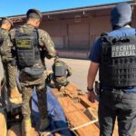 Brasil intercepta ocho camiones con madera procedente de Bolivia e investiga posible cargamento…