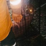 Rescatan de forma segura al puma hallado en San José de Chiquitos