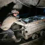 INE: Exportaciones bolivianas superan los $us 5.400 millones entre enero y mayo de…