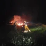 Incendio en Otuquis moviliza a 60 rescatistas; el fuego ingresó desde Brasil