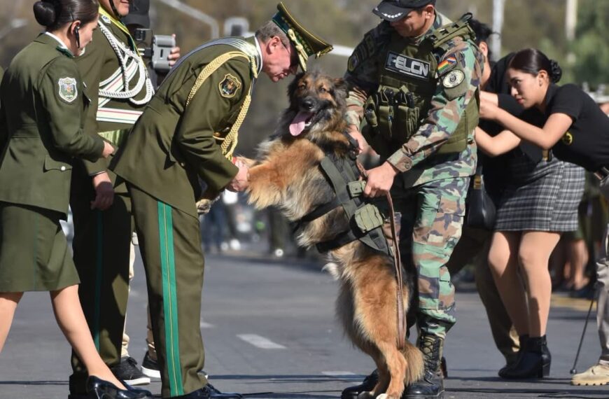 Rex, el perro rescatado durante los operativos de desbloqueo, es&hellip;