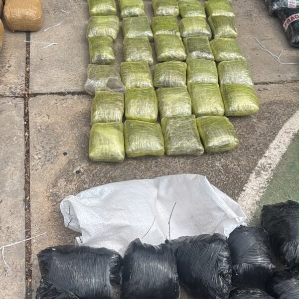 Encuentran 500 kilos de marihuana, pero solo reportan 355: ¿dónde están los otros 145?