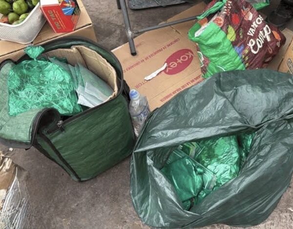 Envían a prisión preventiva a comerciante boliviana por vender hojas de coca en Chile