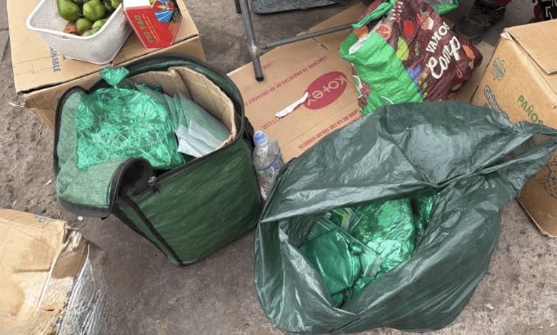 Envían a prisión preventiva a comerciante boliviana por vender hojas…